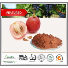 High Purity 100% Natural Antioxidants Grape Seed Extract Powder Proanthocyanidins 95%